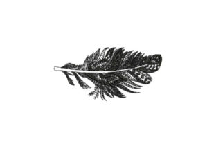Feather Intricate: A Designer’s Stitch-Out Review